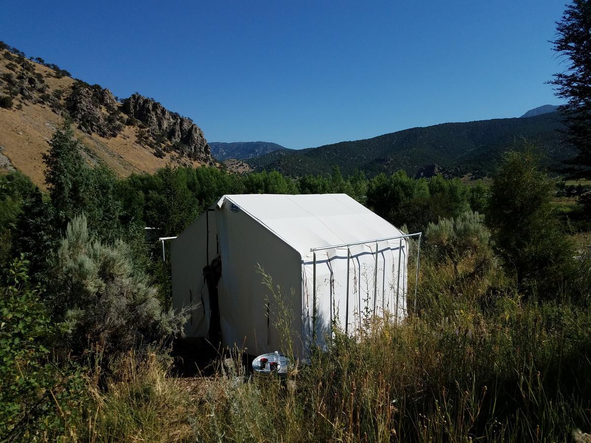 Bristol Cabins Lava Hot Springs Esterno foto